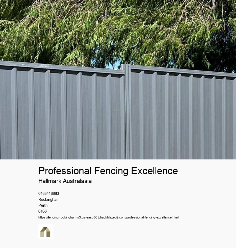 Professional Fencing Excellence